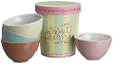 Rosanna Sweet Dreams Ice Cream Bowl Set with Ice Cream Carton Gift Box