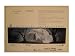 Artificial Intelligence Trade Ad Artist Proof Steven Spielberg AI A.I. Poster Like