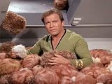 The Trouble with Tribbles