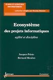 Ecosystème des projets informatiques : agilité et discipline
