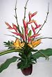 26" Heliconia & Bird of Paradise Arrangement