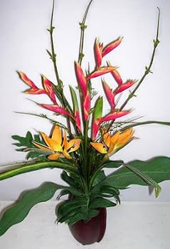 26" Heliconia & Bird of Paradise Arrangement