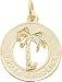 South Carolina Charm by Rembrandt Charms
