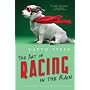 Art Of Racing In The Rain by Garth Stein