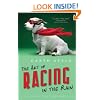 Art Of Racing In The Rain
