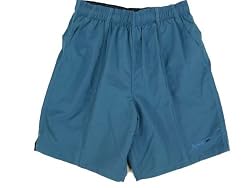 Speedo Men's Fashion Solid Rally V 19" Outseam Volley Watershort Swimsuit
