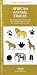 African Animal Tracks: An Introduction to the T...