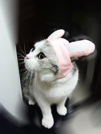 PANPET Bunny Rabbit Hat with Ears for Cats &amp; Small Dogs Party Costume Accessory Headwear S