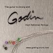 Godin E-10 Nickel Regular Light Electric Guitar Strings Godin E-10 Nickel Regular Light Electric Guitar Strings