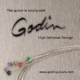 Godin E-10 Nickel Regular Light Electric Guitar Strings