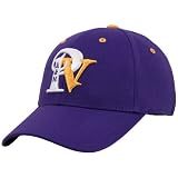 Top of the World Prairie View A&M Panthers One-Fit Hat