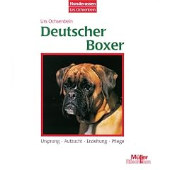 Deutscher Boxer