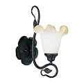 Santa Maria 1-Light Wall Sconce