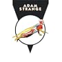 The Adam Strange Archives, Volume 2 (DC Archive Editions)