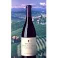Barolo to Valpolicella: Wines of Northern Italy (Faber Books on Wine)