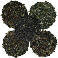 Darjeeling Sampler by Darjeeling Teas