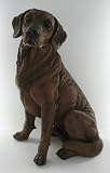 Chocolate Brown Labrador Lab Standing Statue Art