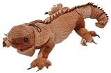 Land & Sea Wild Animals - Iguana