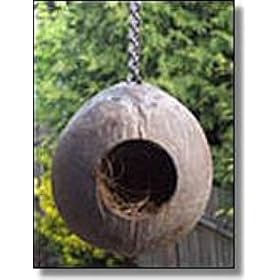 Pet Media 6-to-8-Inch Natural-Color Hard Inner Shell of Parrot Bay Coconut