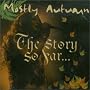 The Story So Far The Story So Far