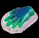 Hand Gelatin Mold - Halloween Prop