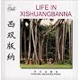 Life in Xishuangbanna