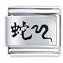 Chinese Letter Snake Bith Date Italian Charms
