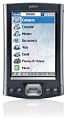 Palm TX