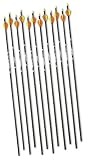12 - Pk. Blackhawk Vapor 3000 Carbon Arrows