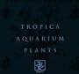 Aquarium Plants Catalogue