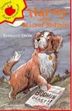 Harvey and the Beast of Bodmin (Younger Fiction Paperbacks)
