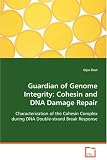 Guardian of Genome Integrity: Cohesin and DNA DamageRepair: Characterization of the Cohesin Complex during DNADouble-strand Break Response