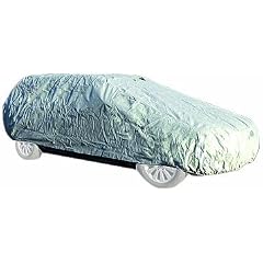 Carpoint 1723247 Ganzgarage 'Tybond Stationwagon' XL 488 x 175 x 121 cm