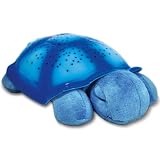 Cloud B Blue Twilight Turtle