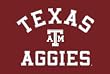 Texas A&M University Aggies Indoor/Outdoor Floormat