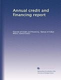 Annual credit and financing report