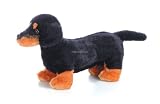 Wildlife / Domestic Animals : Sausage the Dachshund Wiener Dog 12
