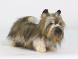 Skye Terrier Stuffed Plush Dog By Hansa 19" L