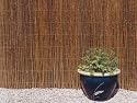 Willow Screen - 3m x 1m