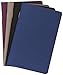 Fabriano EcoQua Pocket-Sized Notebooks, 4-Pack, Dot, Cool Color Covers