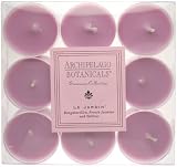 Archipelago Botanicals Excursion Collection Tea Lights
