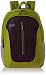 Skybags Punk 22 Ltrs Green Casual Backpack (BPPUKGRN) RS.870.00