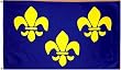 France Fleur de Lis "Blue" Flag - 3 foot by 5 foot Polyester (NEW)