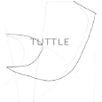 The Art of Richard Tuttle