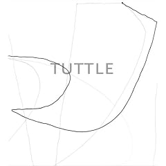 The Art of Richard Tuttle: A Retrospective