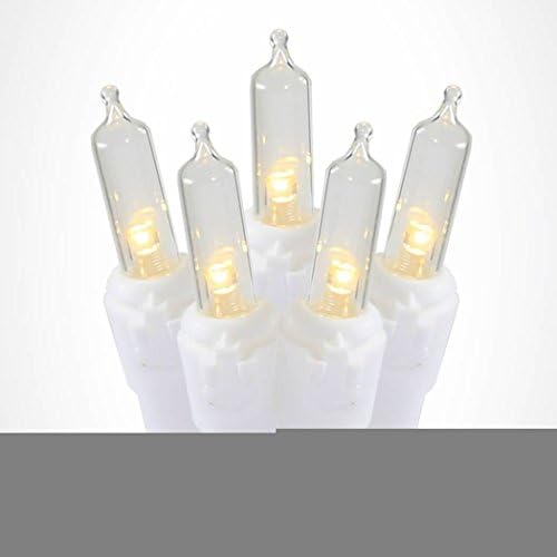 25' LED Glass Mini 50 Light Strand, White Wire, Warm Clear