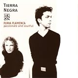 Furia Flamenca