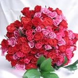 １００本バラのブーケ　ミディアムサイズ　憧れのボルドーミックス　（花束）【生花】【お祝い】【記念日】【誕生日】【フラワーギフト】【バラ】