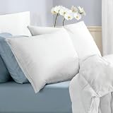 Better than Down Standard Pillows, Set of 2