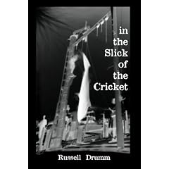 In the Slick of the Cricket